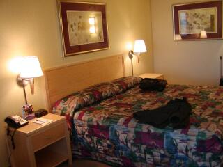 ���܂�������