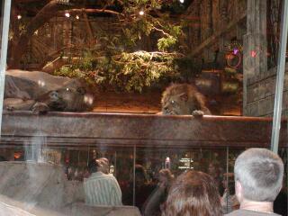 MGM�O�����h�z�e��