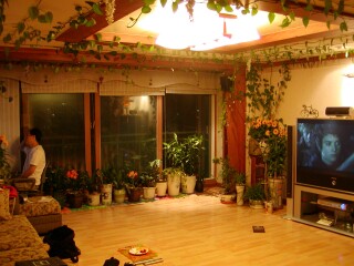 ��������̉�