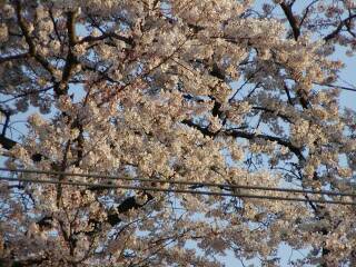 �������č�w�z�[�����1