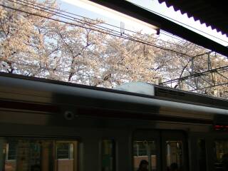 �d�Ԃ�����Ƃ���Ȋ���