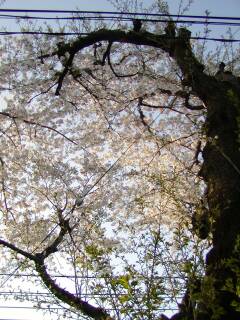 �^������