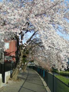 ���̕���