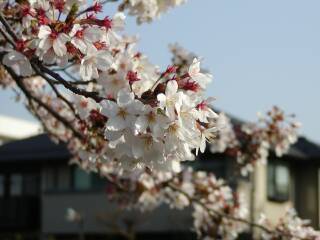 ���Y�[���A�b�v